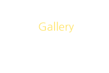 갤러리